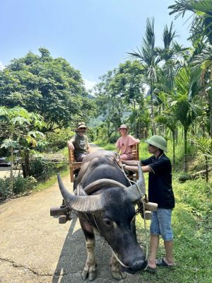 Pu Luong Adventure – Cycling & Cooking with Locals