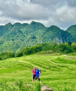 Pu Luong Insight Half-Day Nature & Culture Discovery