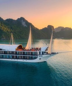 Sena Cruise 2D1N - Lan Ha Bay