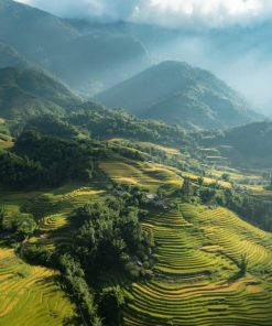 Sapa