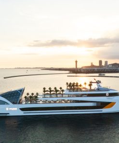 DOLPHIN CRUISE -1 DAY TOUR