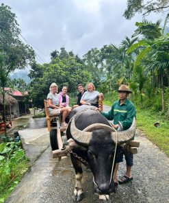 DISCOVER PU LUONG NATURE RESERVE 2 Days 1 Night From Hanoi /Ninh Binh